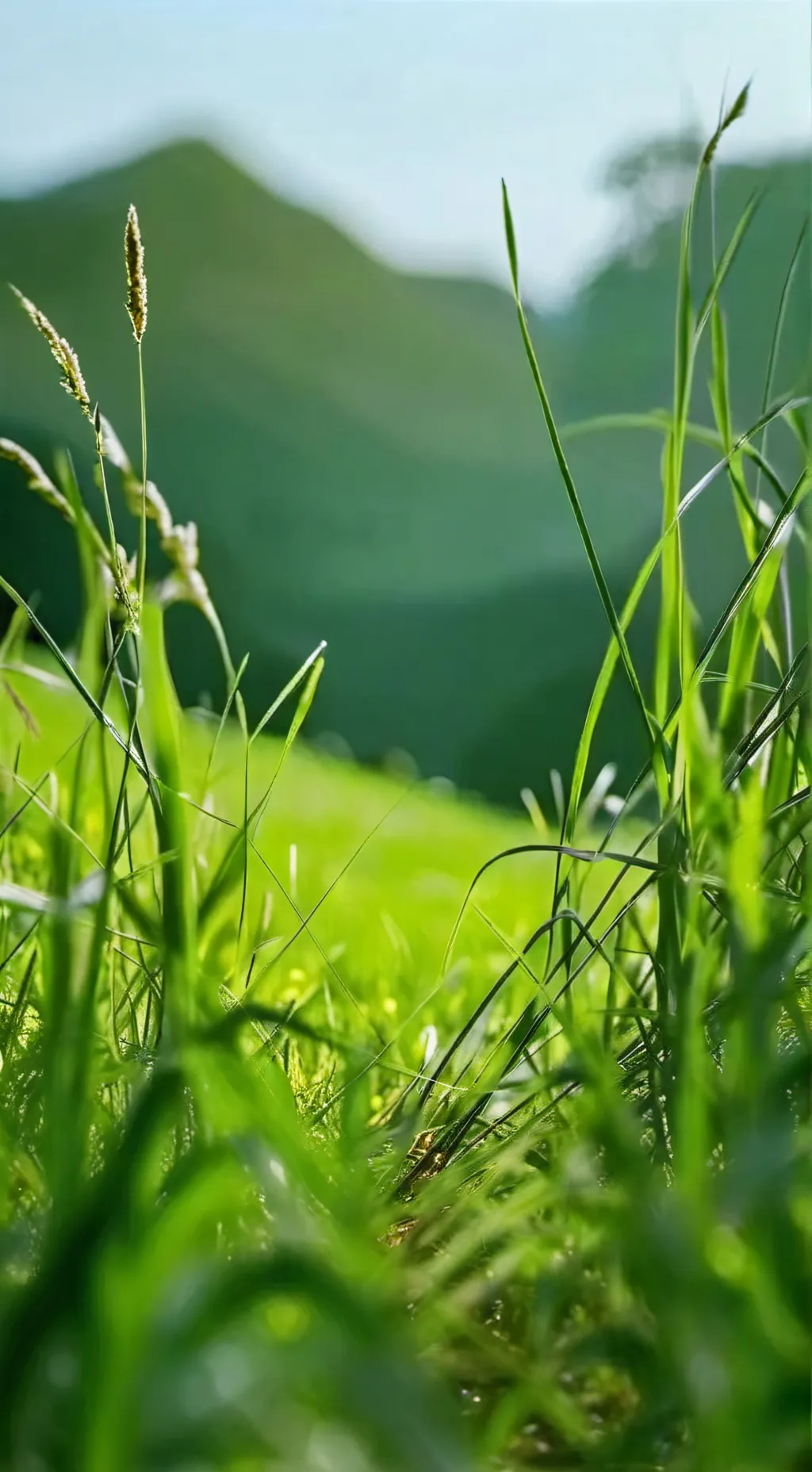 ai character: grass background