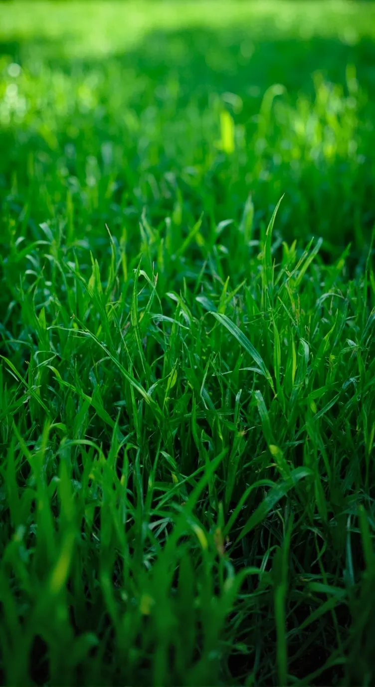 ai character: GRASS background