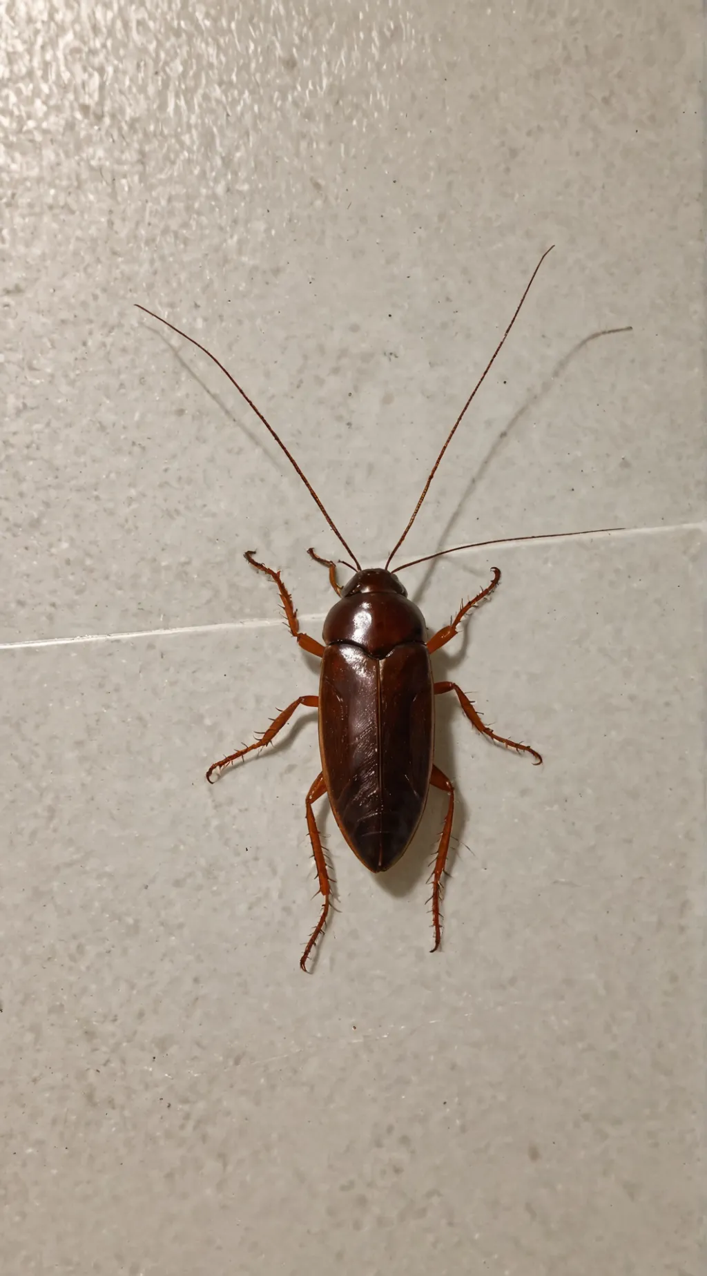 ai character: roach background