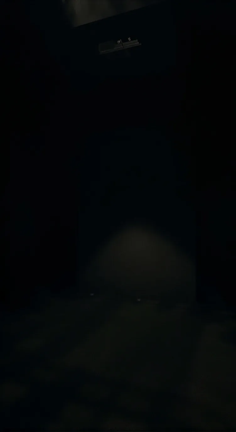 ai character: Fyodor Dostoevsky  background