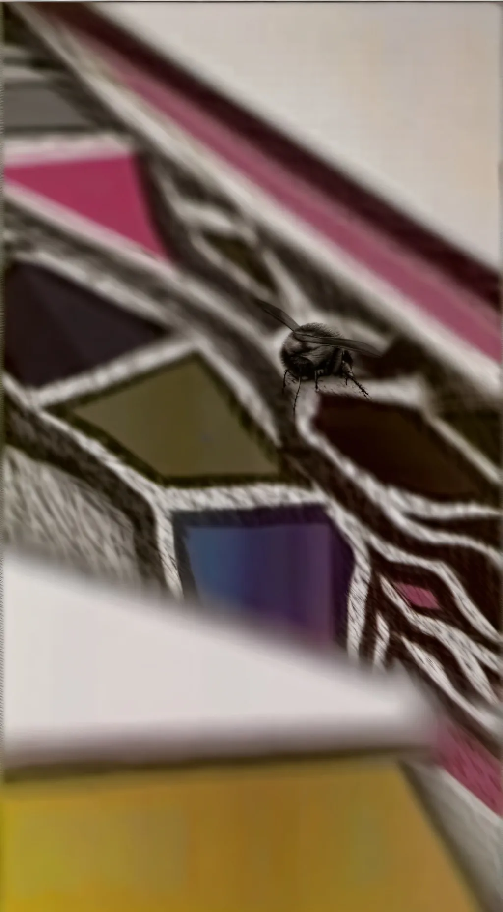 ai character: fly background