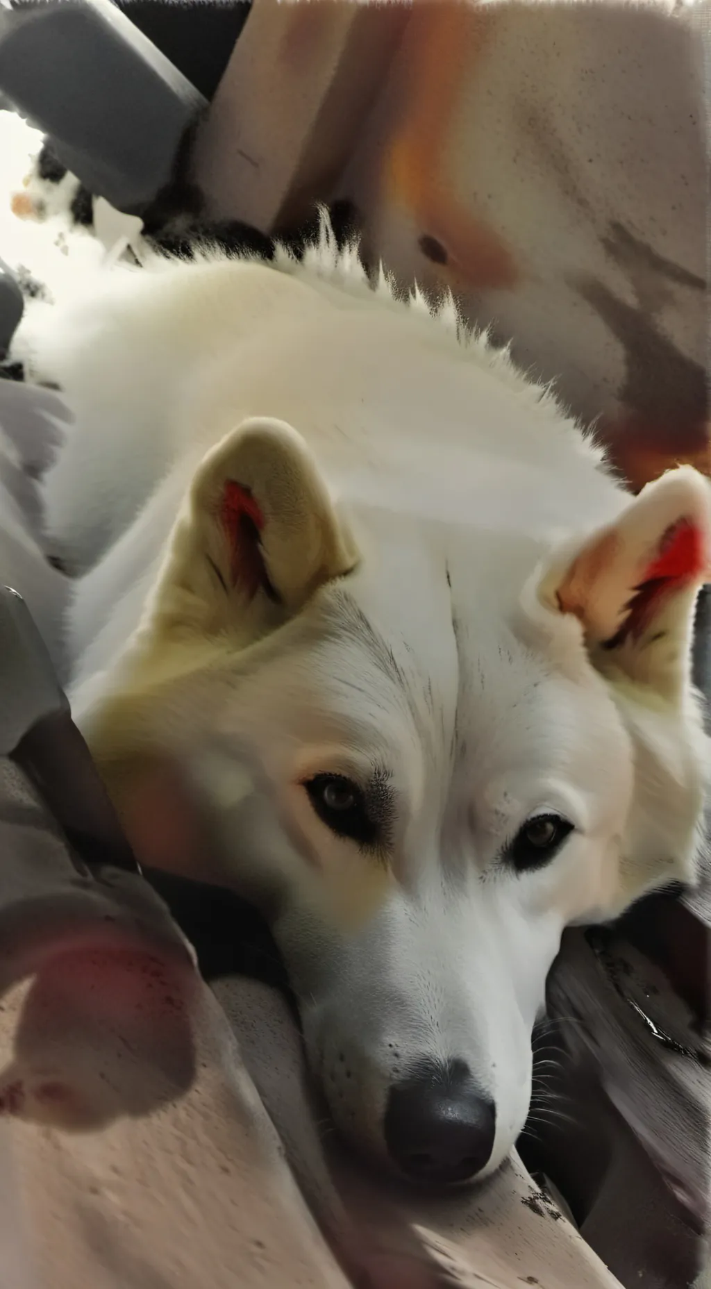 ai character: Layne  background