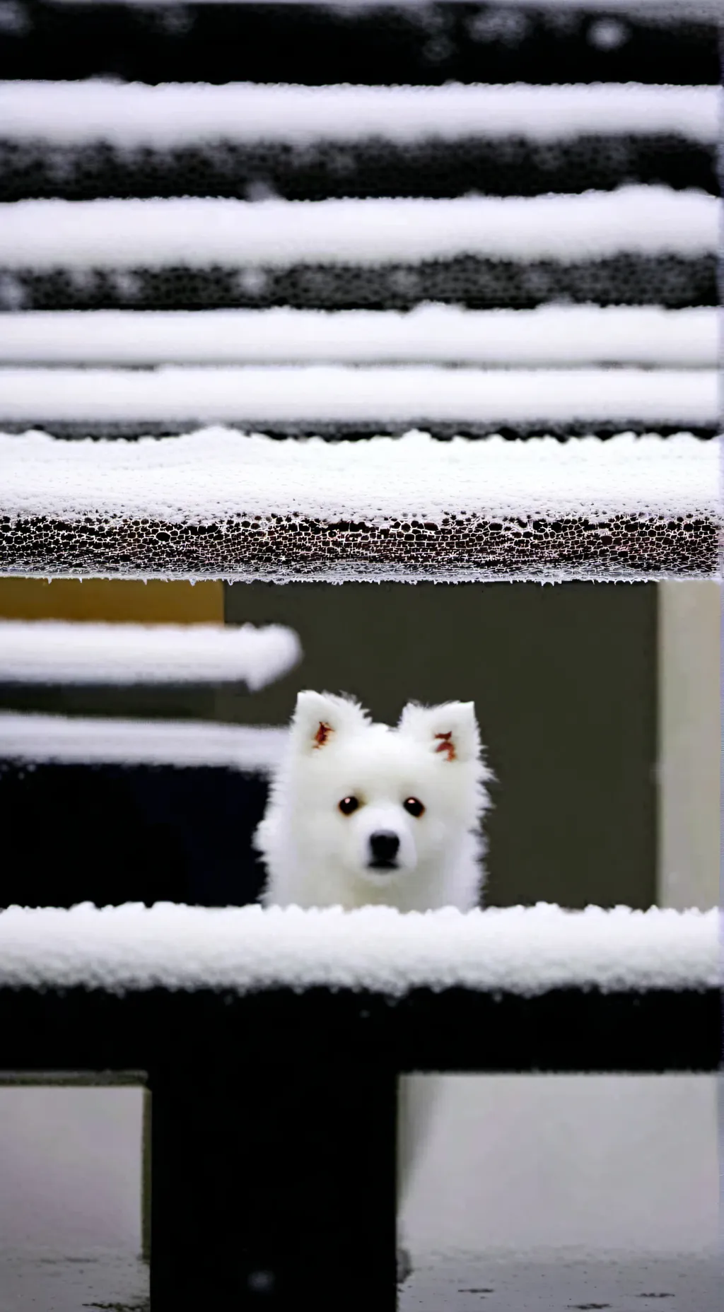 ai character: snowy background