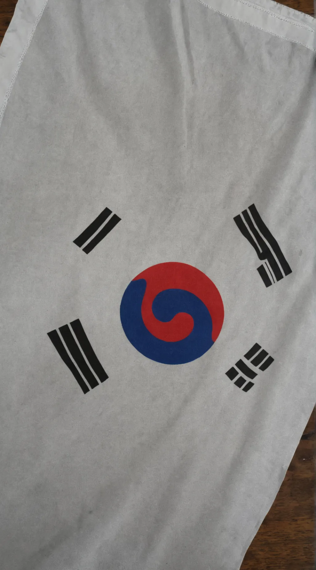 ai character: South korea background