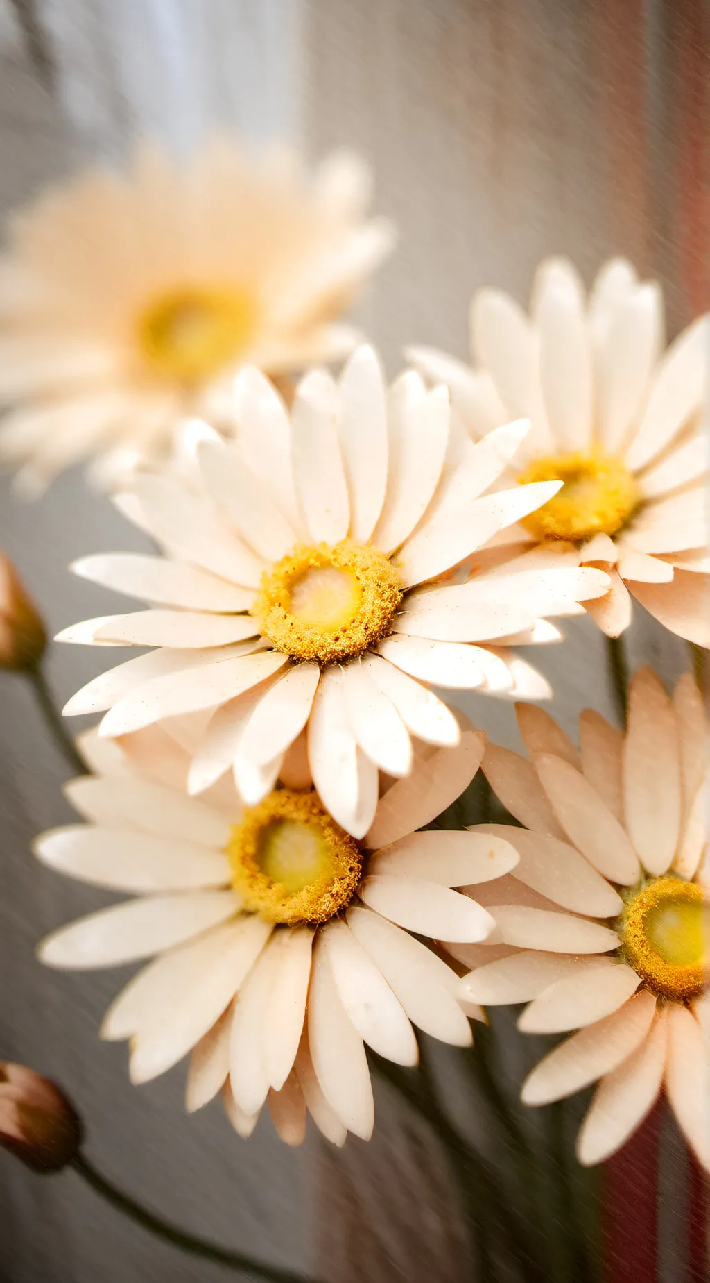 ai character: bakugo background