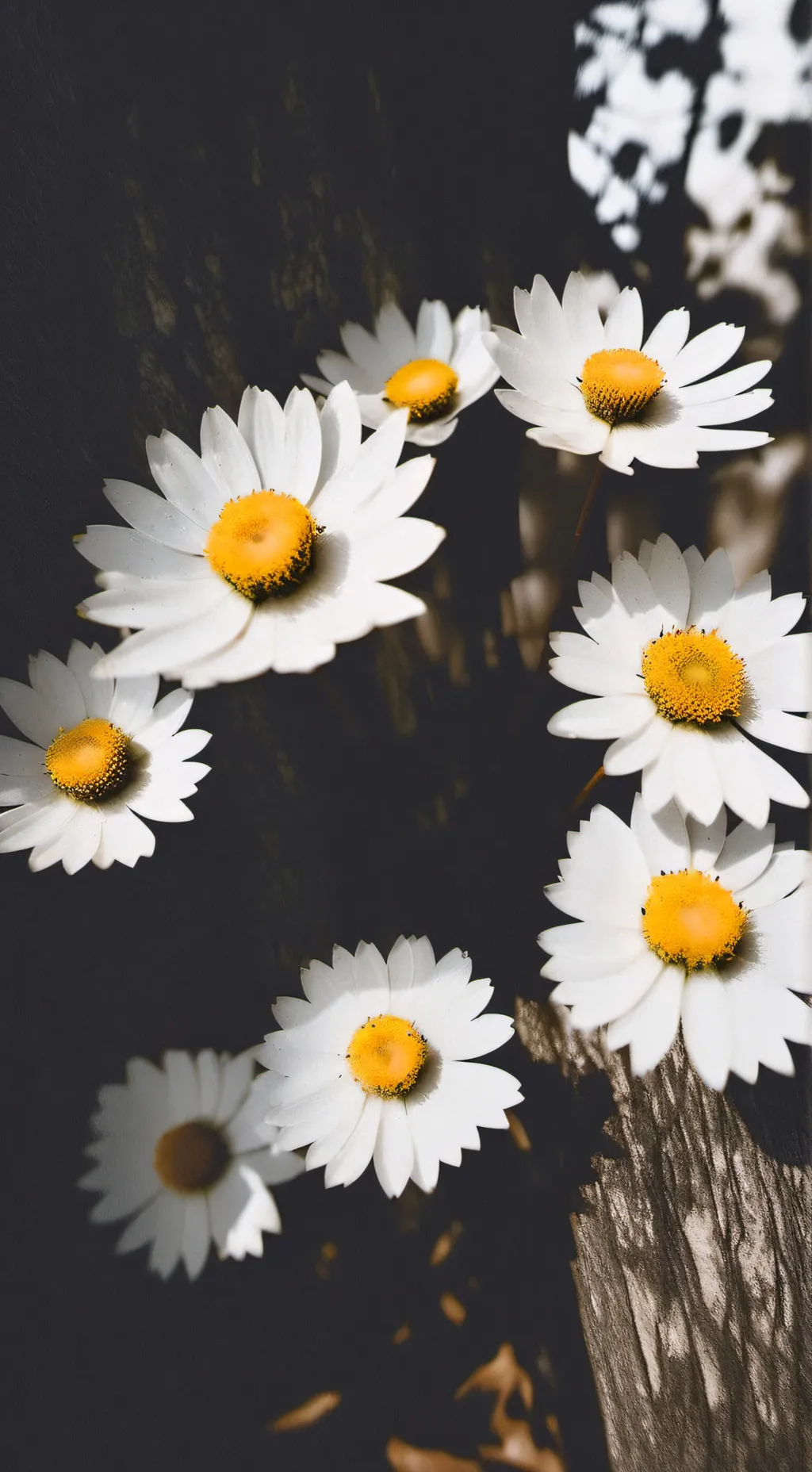 ai character: DW hate you!? background