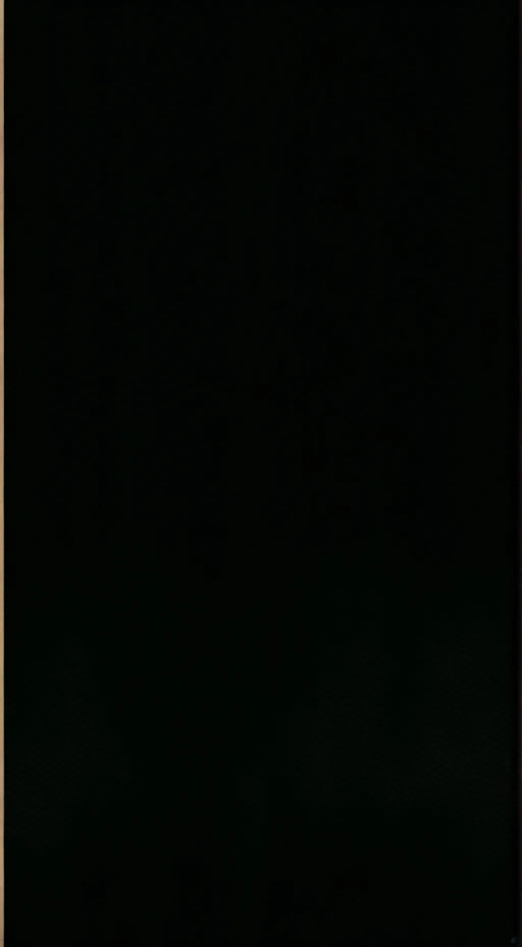 ai character: poppy playtime  background