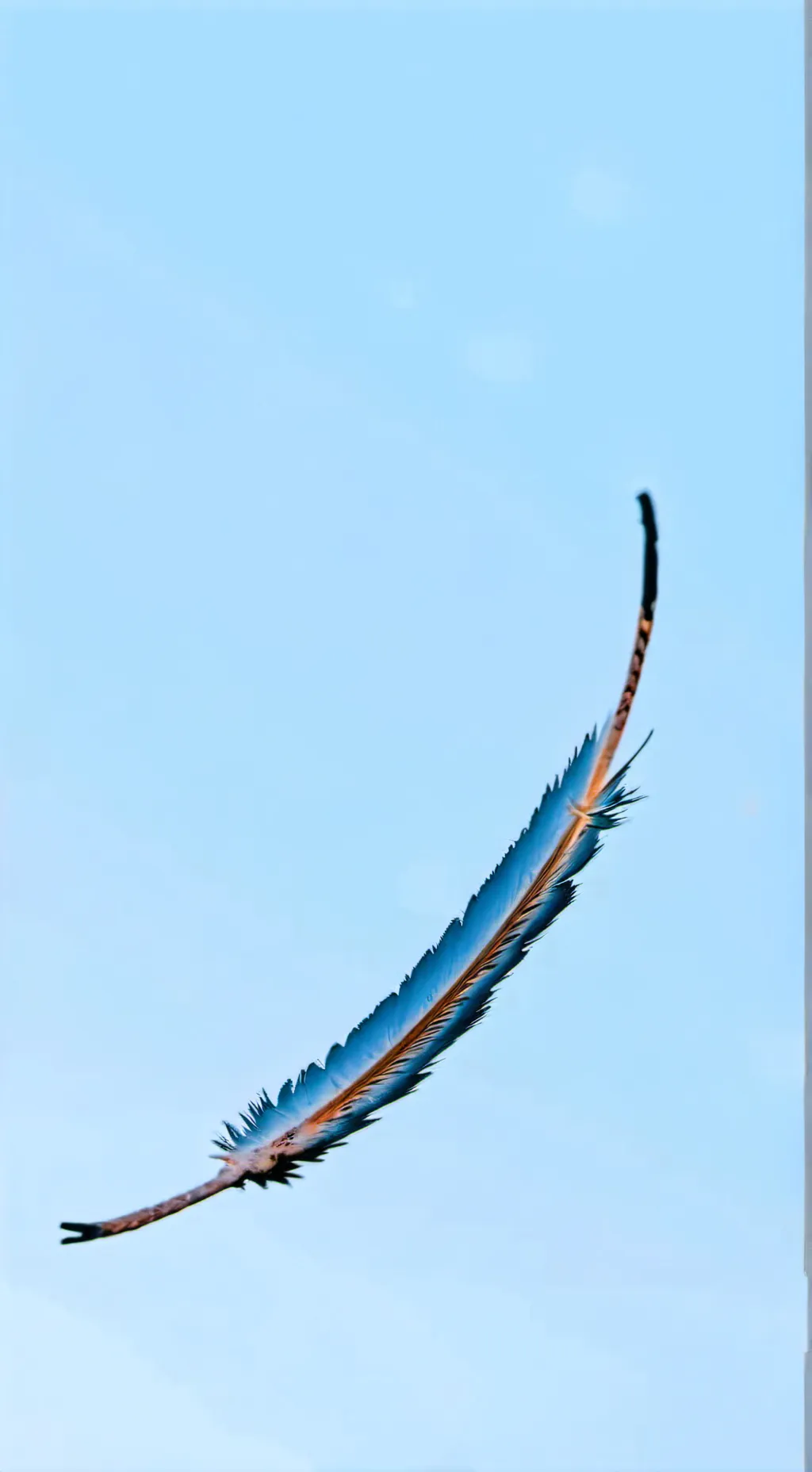 ai character: Crush background