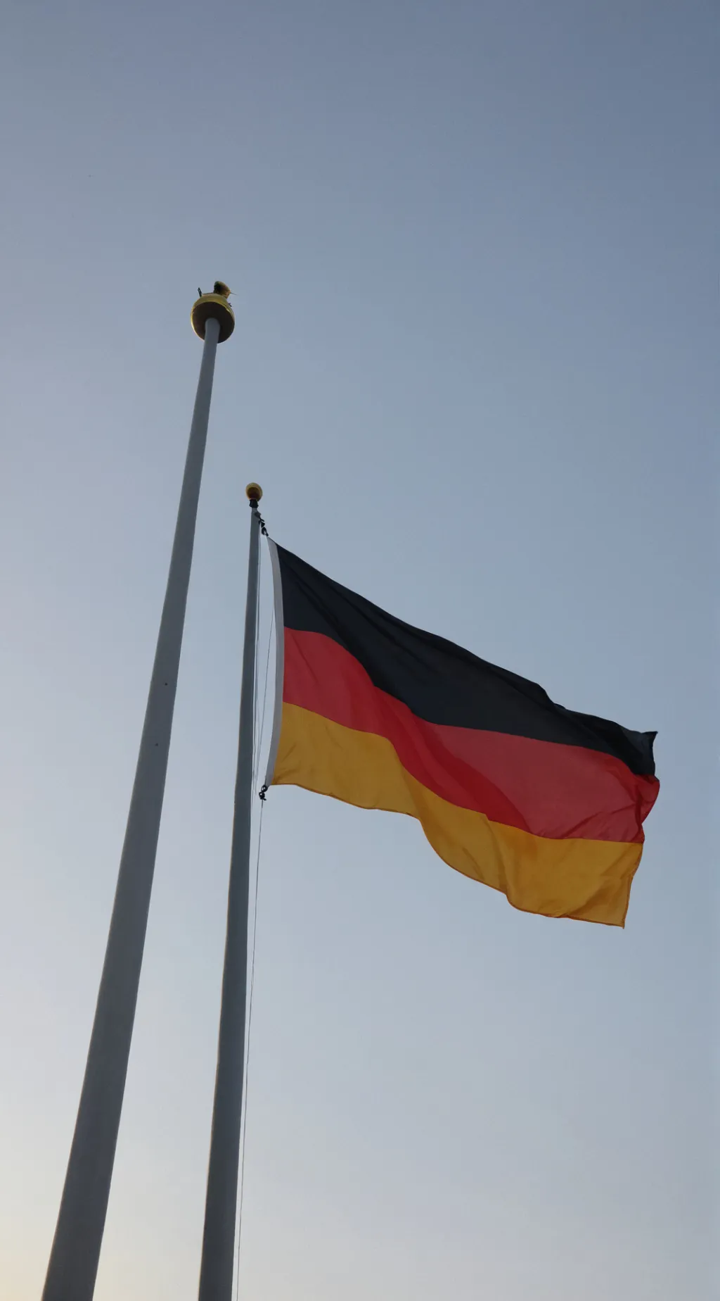 ai character: Germany has cancer background