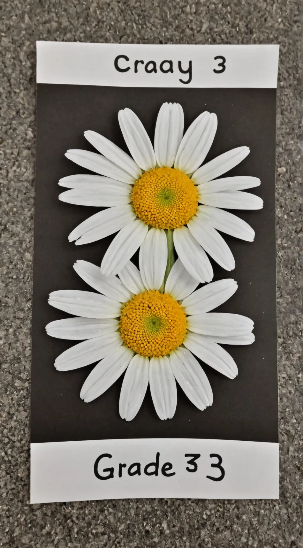 ai character: Grade 3 A. Daisy  background