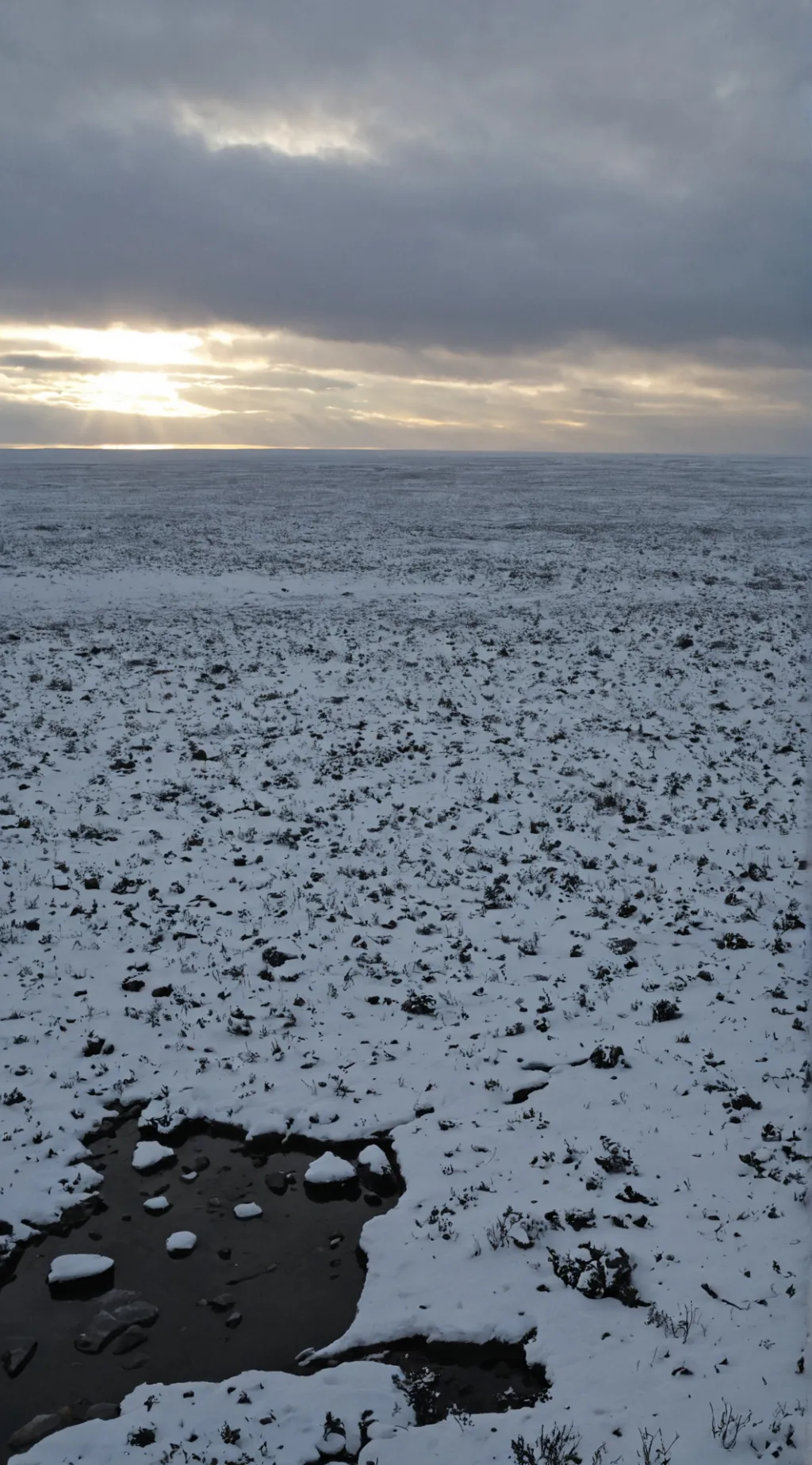ai character: Tundra  background