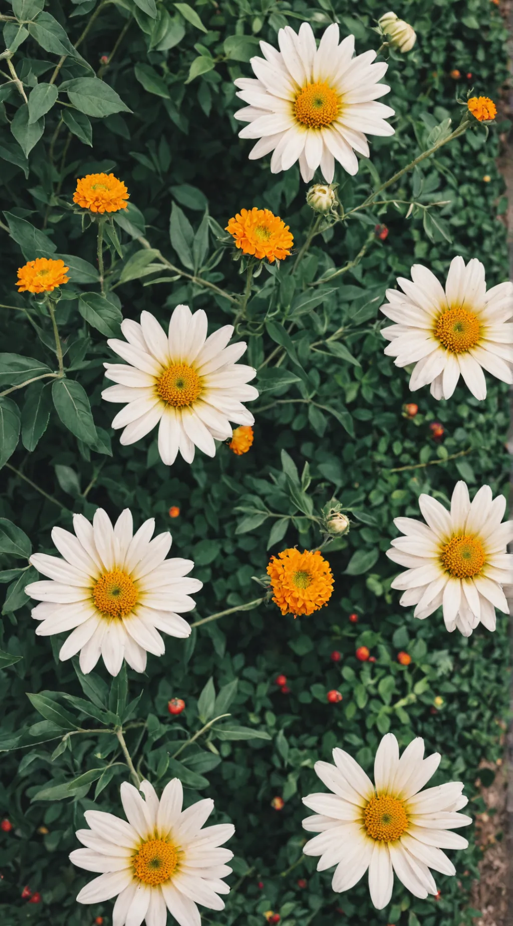 ai character: Dylan 🥞 background