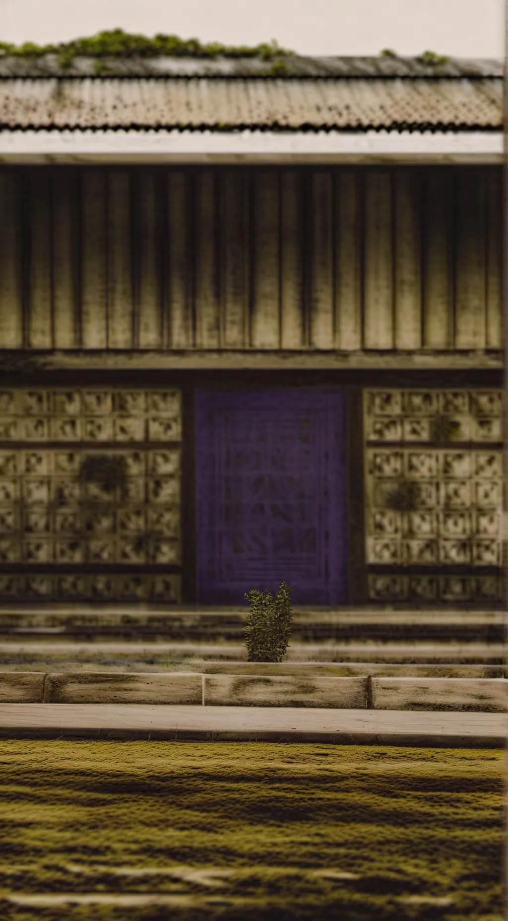 ai character: crazy casa terro background
