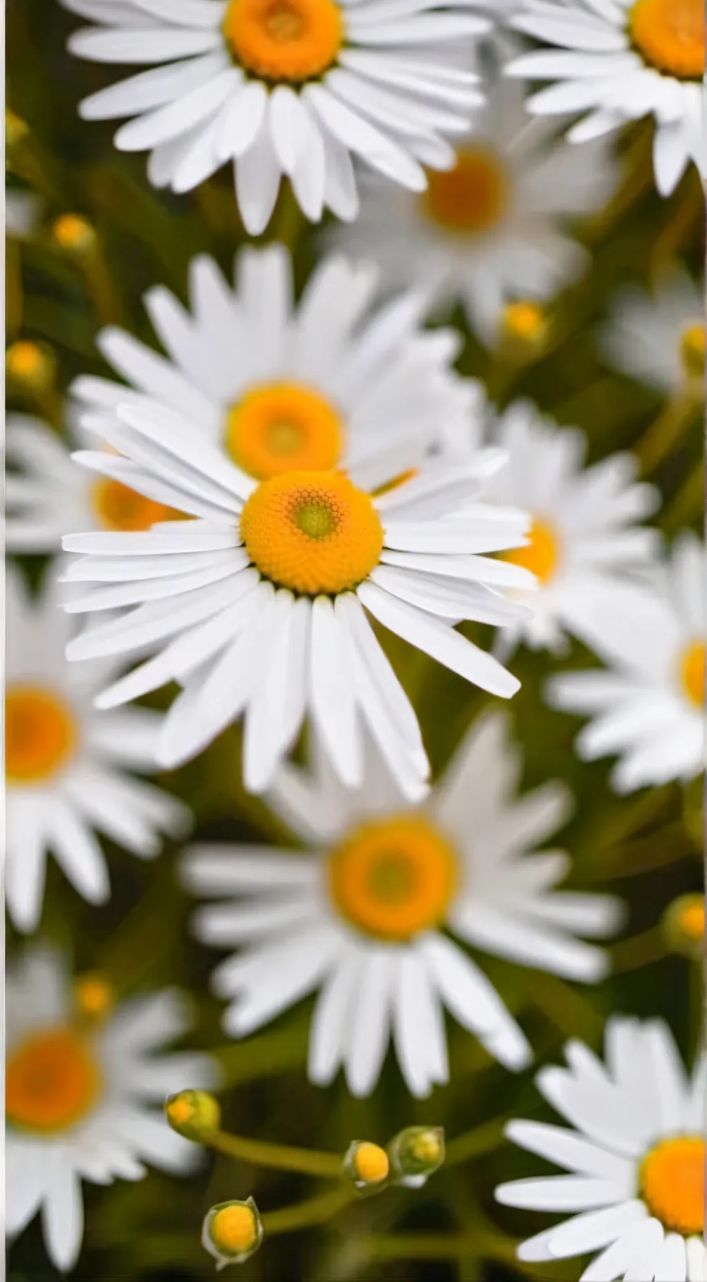 ai character: Daisy's world!  background