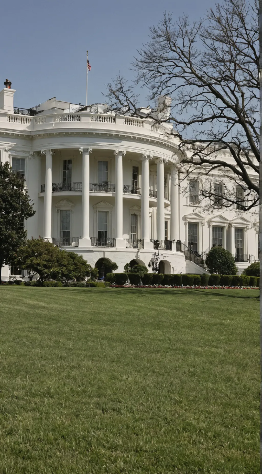 ai character: the government  background
