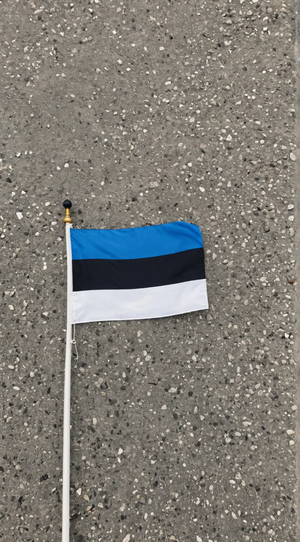 ai character: Estonia background