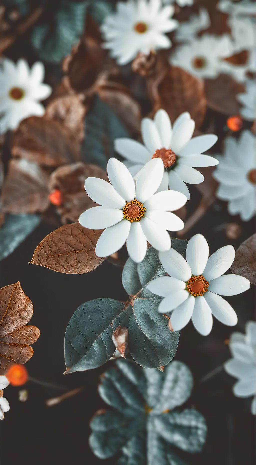 ai character: CreamHeroes cats!! background