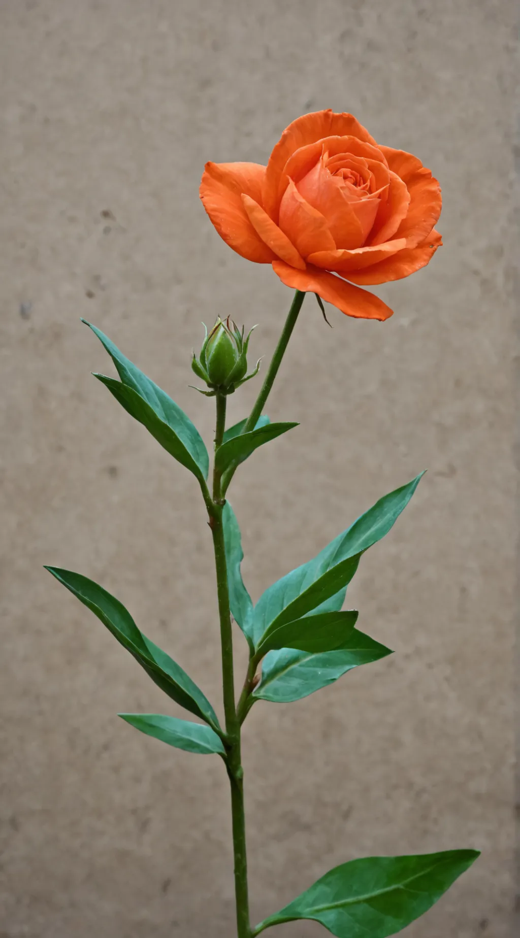 ai character: Fiore background