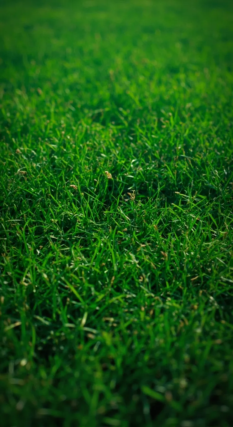 ai character: Grass background