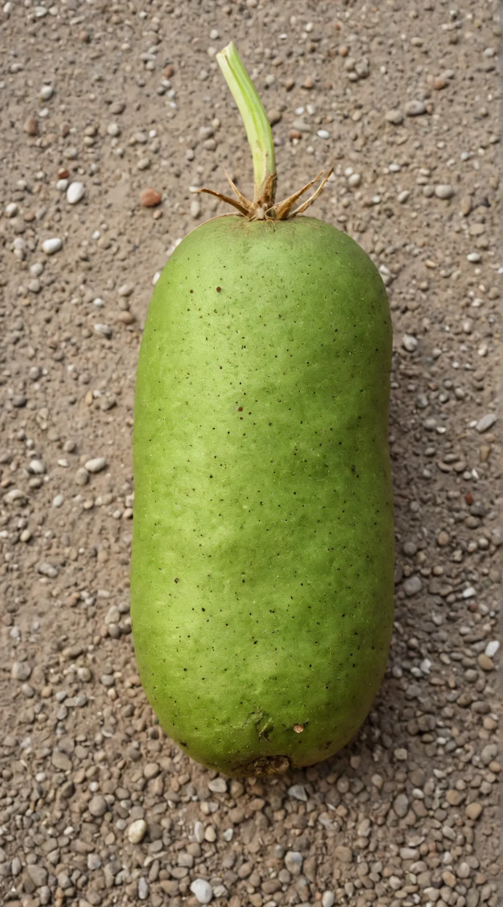 ai character: gassy potato  background