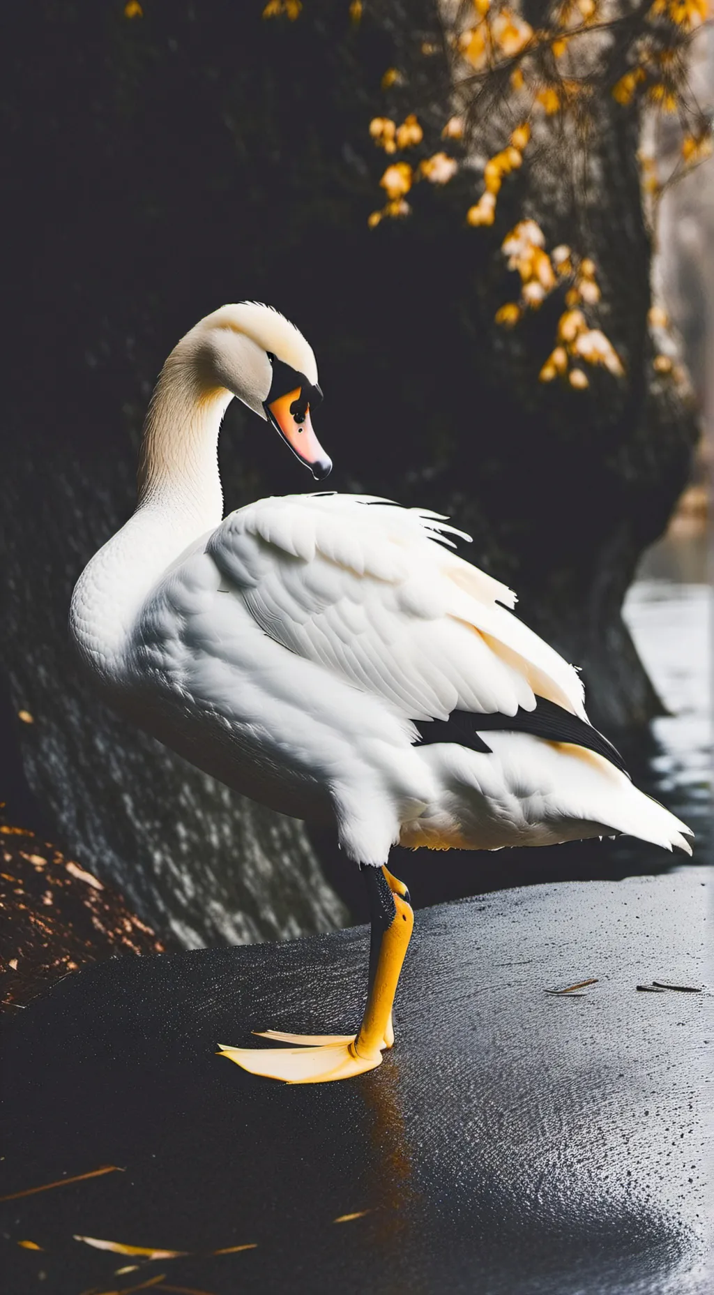 ai character: Swan wally background