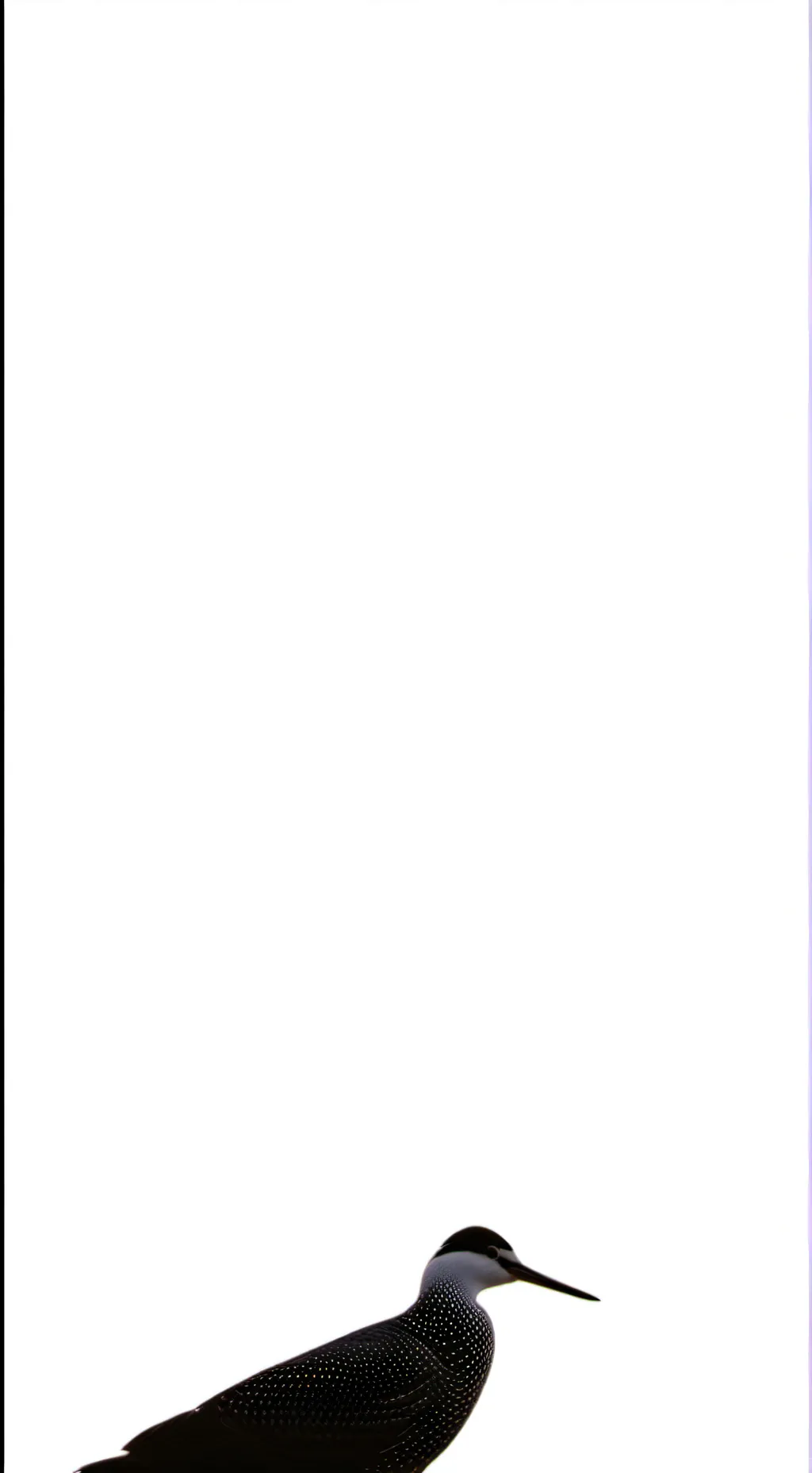 ai character: air background