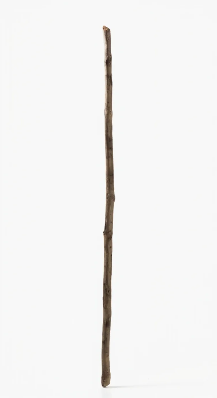 ai character: stick. background