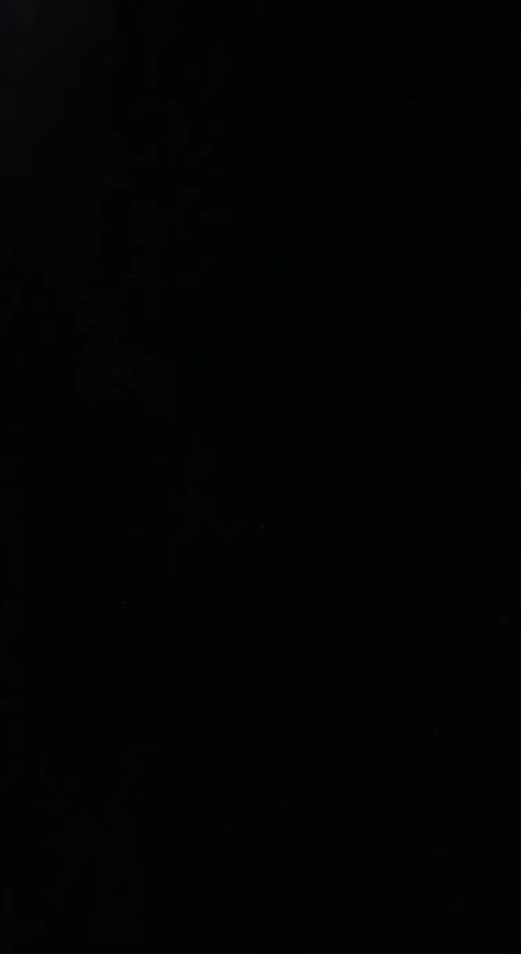 ai character: V.O.I.D background