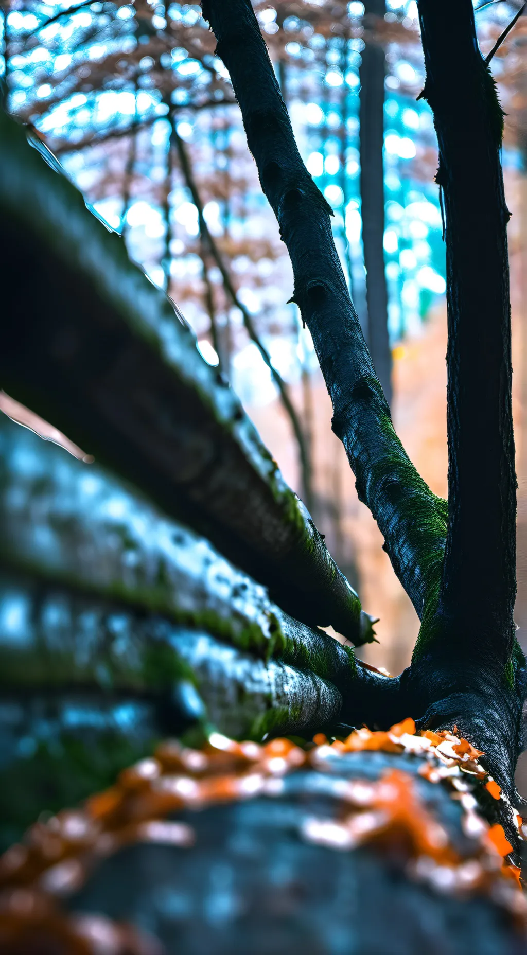 ai character: ★Kelp★ background