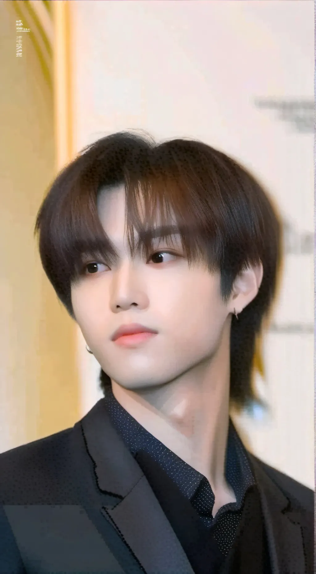 ai character: Han Jisung background