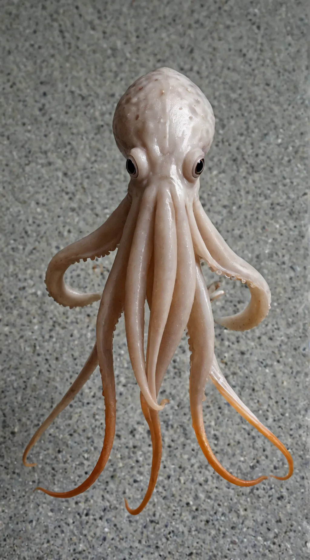 ai character: Squid game  background