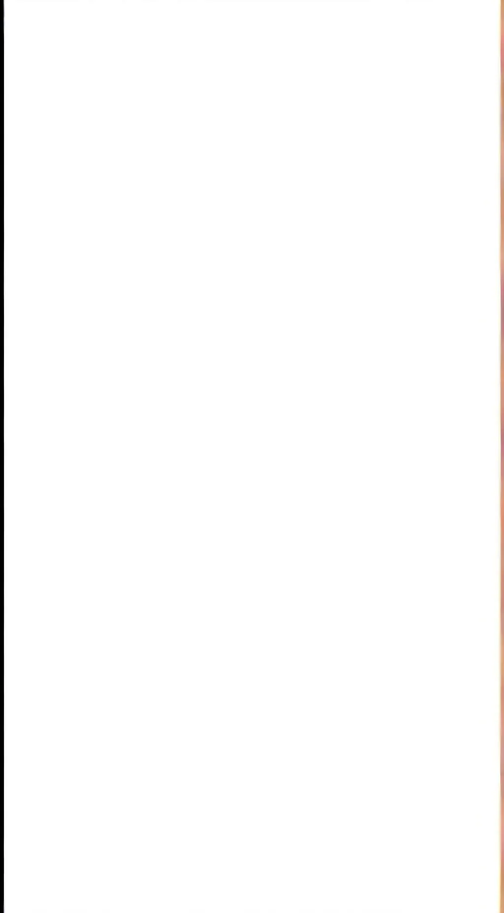 ai character: nada background