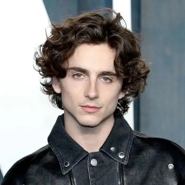 chat with ai character: Timothée Chalamet
