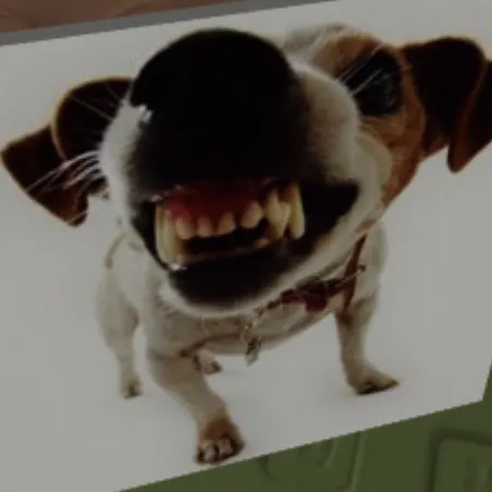 creator U-DvsYmZxeTm5D0's avatar