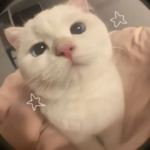 creator 𝙻𝟶𝟺𝙵𝙰𝙵𝙻𝙻𝟶𝟺𝙵𝙵!.'s avatar