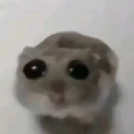 creator ✨ sad hamster ✨'s avatar