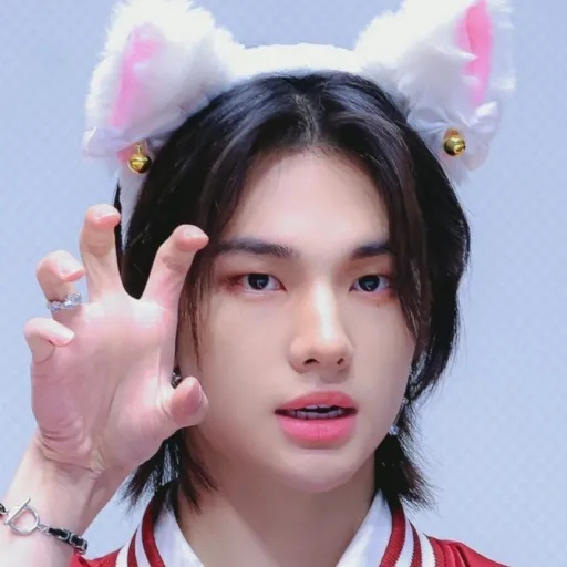 creator Stray Kids stan❤🖤's avatar