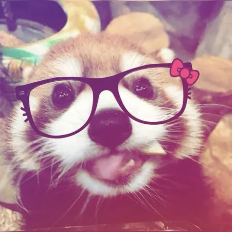 creator HaileyWhispers's avatar