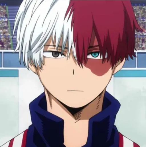 creator shoto_todoroki1st's avatar