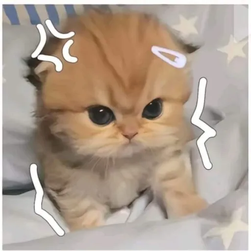 creator ♡✫𝓒𝓸𝓸𝓴𝓲𝓮𝓹𝓸𝓸𝓴𝓲𝓮✫♡'s avatar