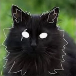 creator eclipse_on_paws_🌿🌙's avatar
