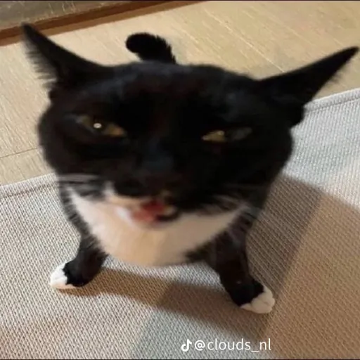 creator IDI0T_B0T's avatar