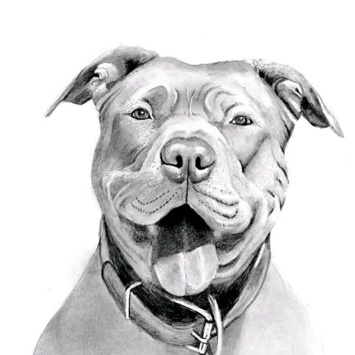 creator MadisonMadore's avatar