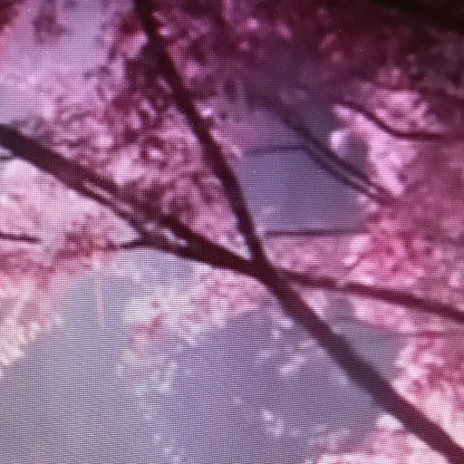 creator Ayano aishi 1's avatar