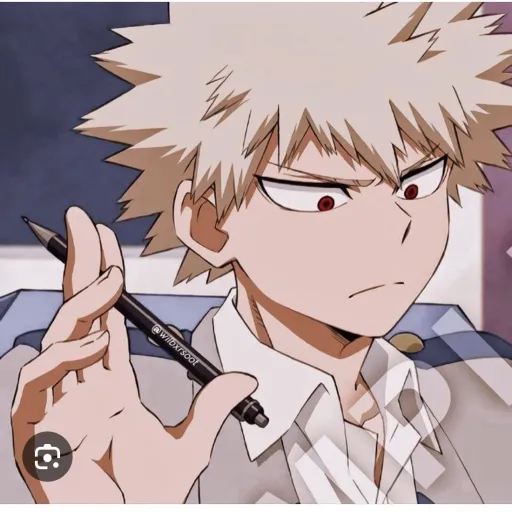 creator bakugo's-wife💥💥's avatar