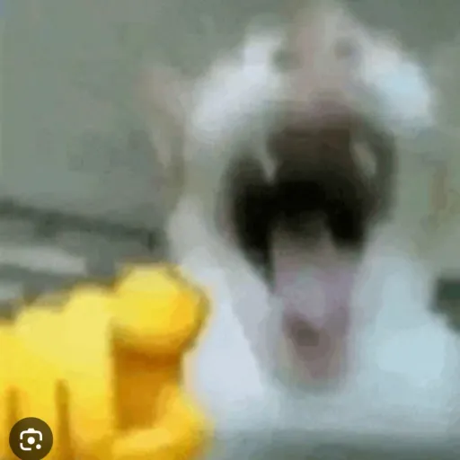 creator darkcat12's avatar