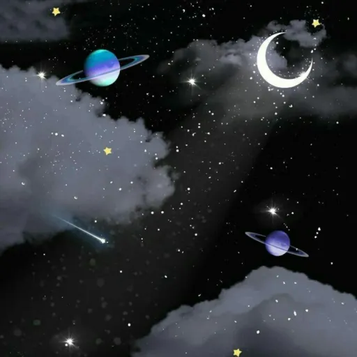 creator ☆•Unknown•☆'s avatar