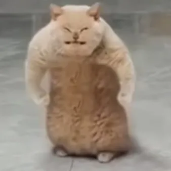 creator ★!Cat!★'s avatar