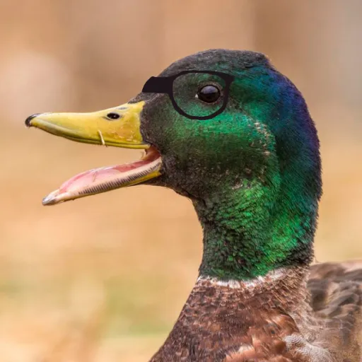 creator 🦆Nerdy duck🦆's avatar