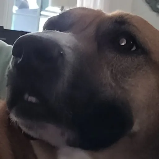creator max1295's avatar